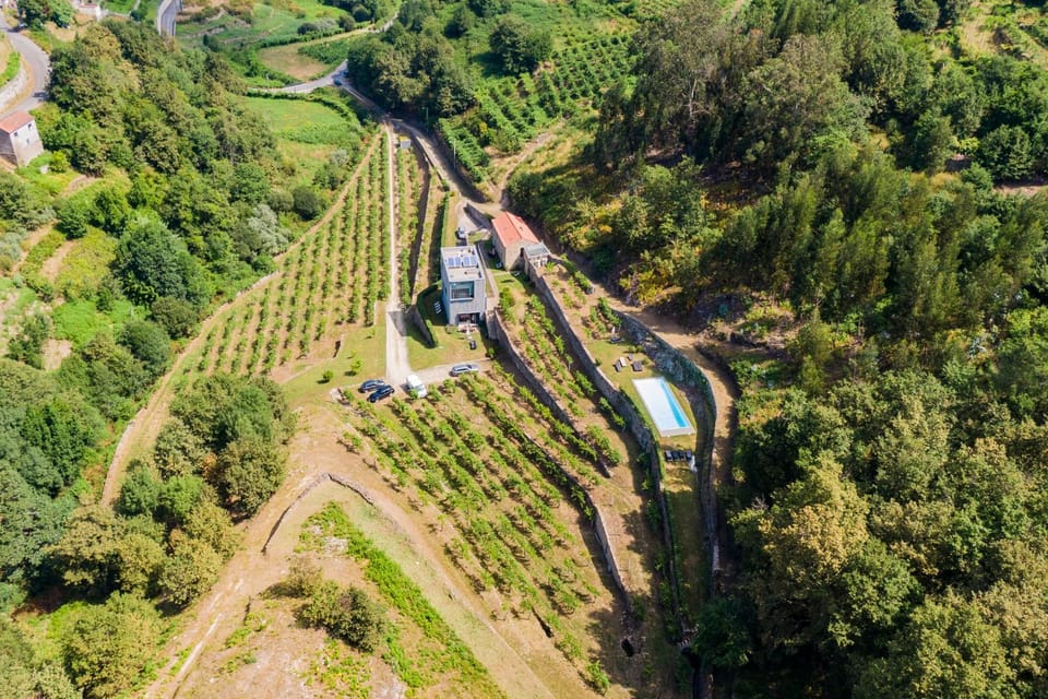 Bird's eye view, Swimming pool