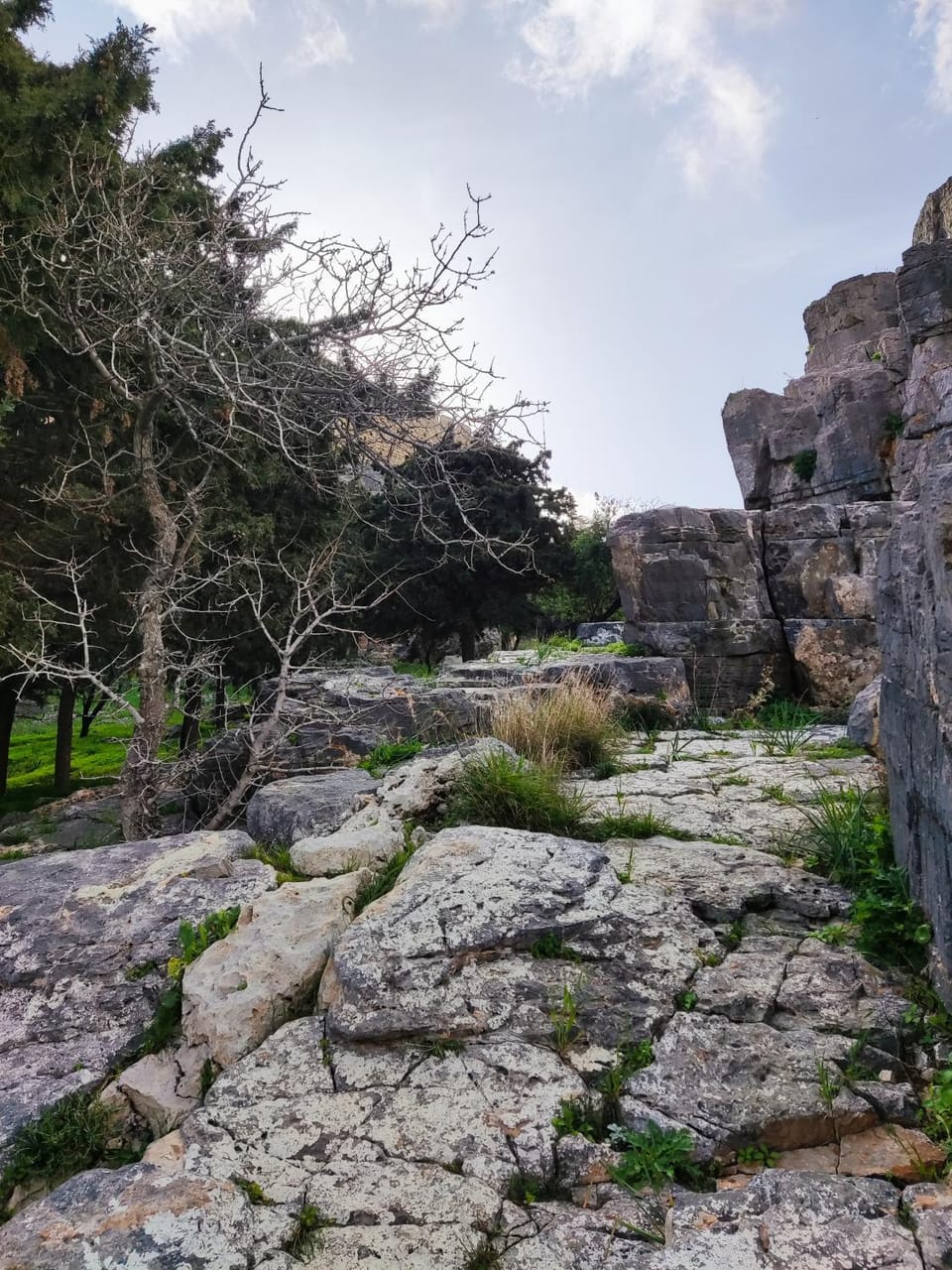 Lindos Esel Suites Apartment in Lindos