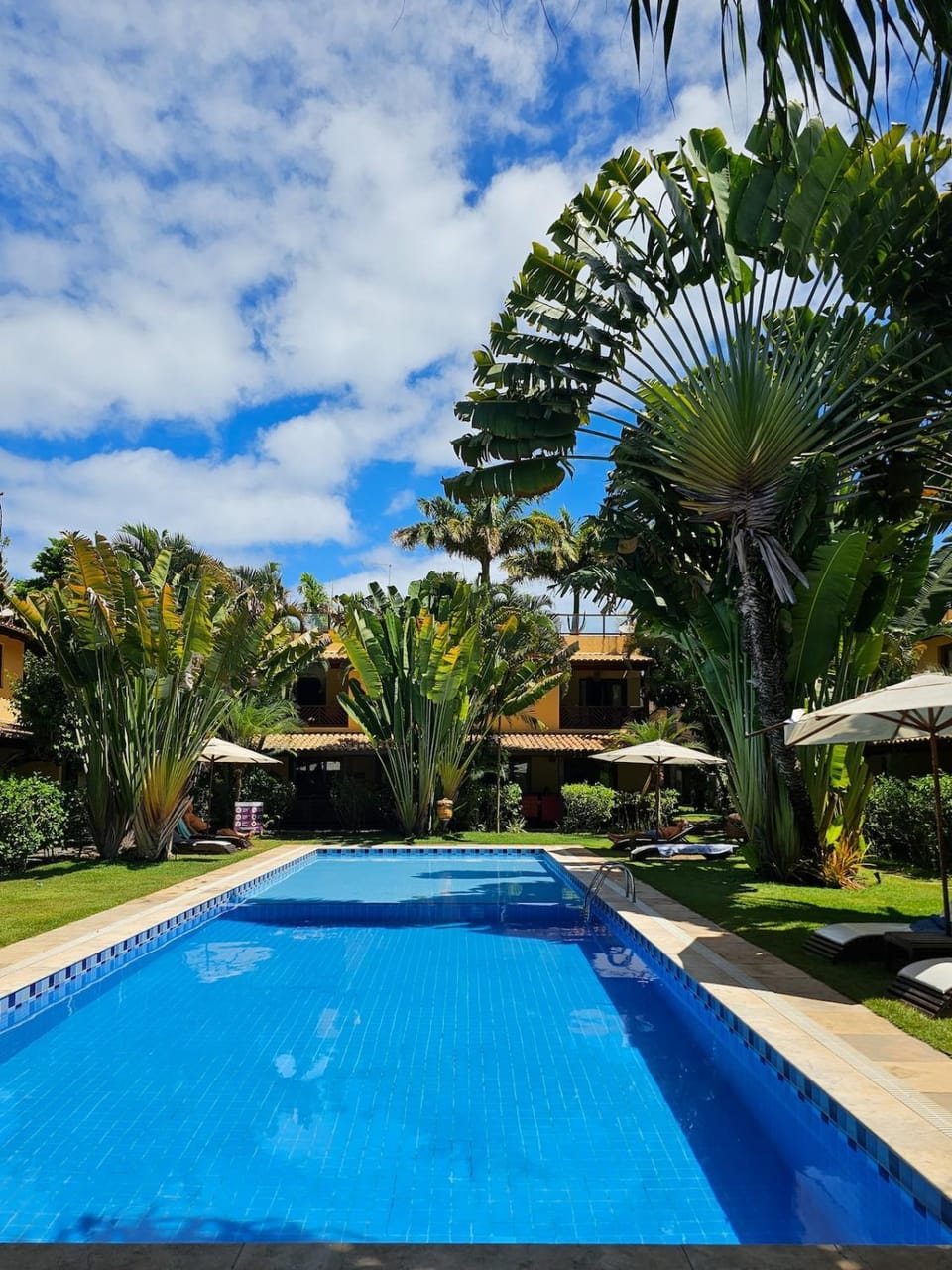 Spring, Day, Garden, Garden view, Pool view, Swimming pool, sunbed