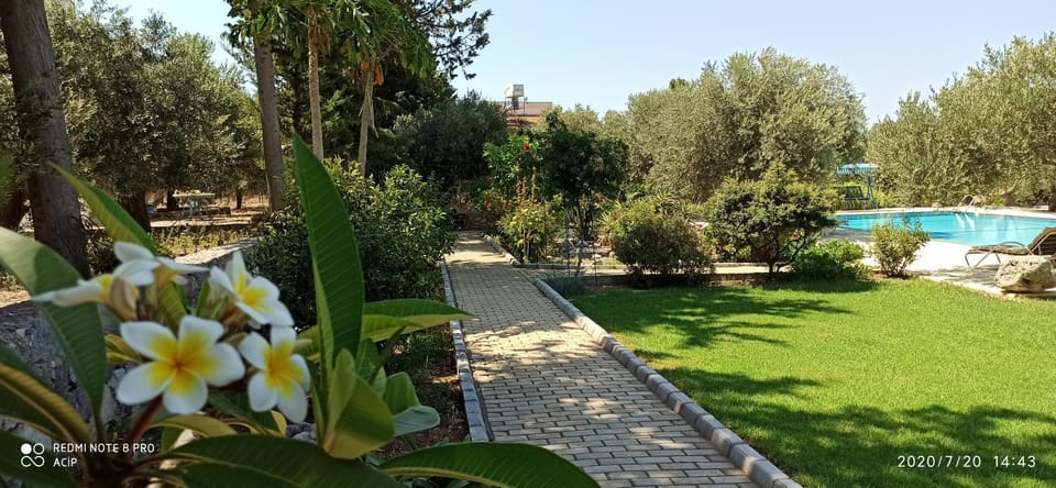 Olive Garden House in Cyprus