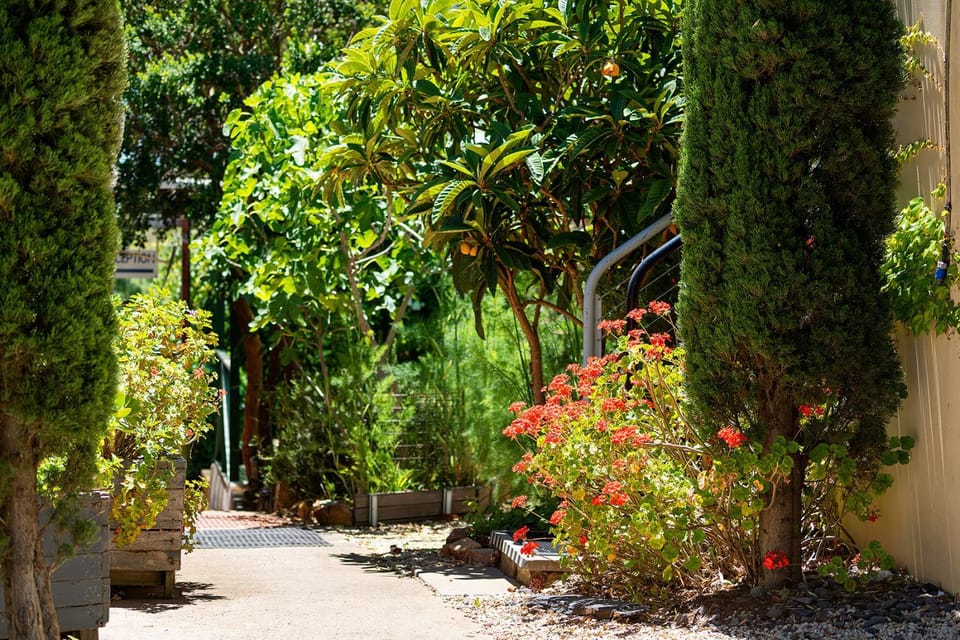 Garden, Garden