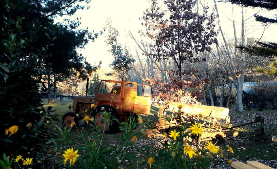 Cabañas Las Dinas Nature lodge in Buenos Aires Province