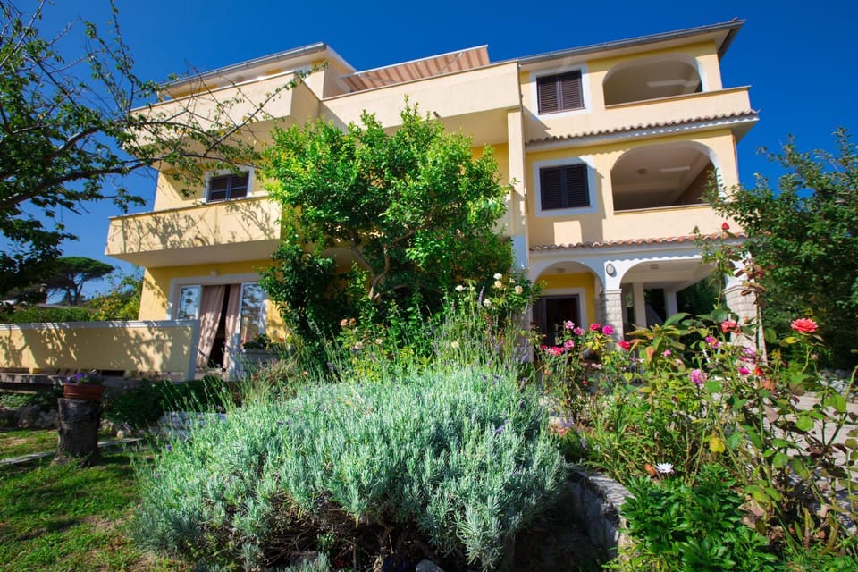 Property building, Day, Garden