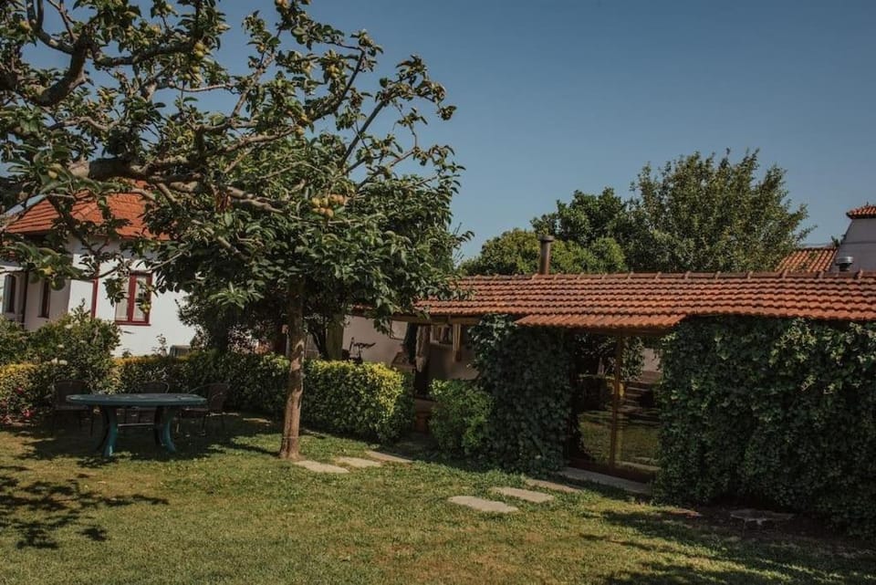 Casa de Marlães House in Porto District