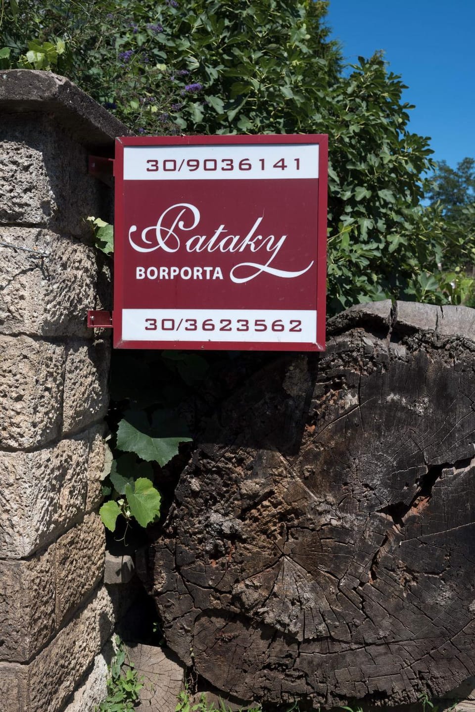 Pataky Borporta Bed and Breakfast in Slovakia