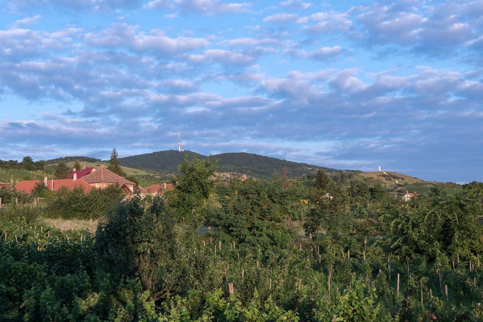 Pataky Borporta Bed and Breakfast in Slovakia