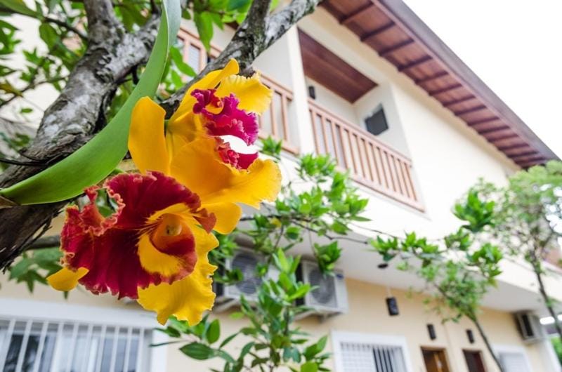 Garden, Balcony/Terrace