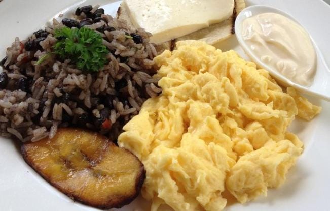 Natural landscape, Food and drinks, Communal kitchen, Breakfast