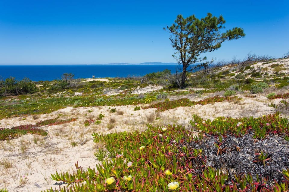 Natural landscape