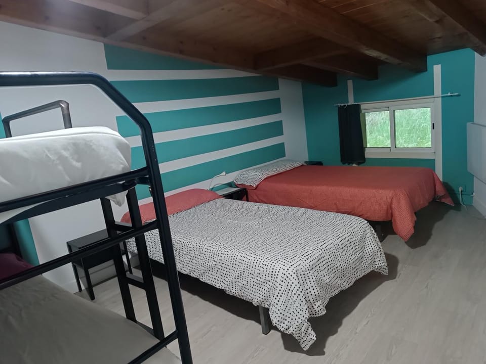 Bed, Photo of the whole room, bunk bed