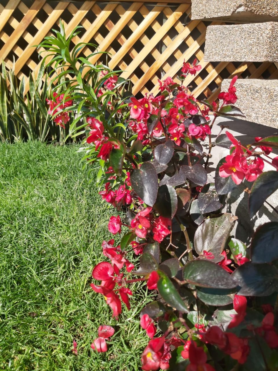Mirador de Bellavista Riobamba Bed and Breakfast in Riobamba