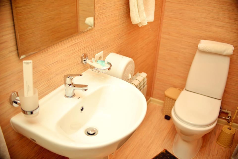 Toilet, Bathroom, Bath, bidet, towels