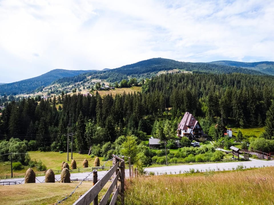 Natural landscape