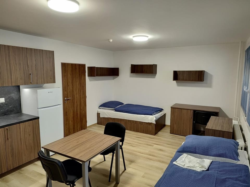 Kitchen or kitchenette, Bedroom
