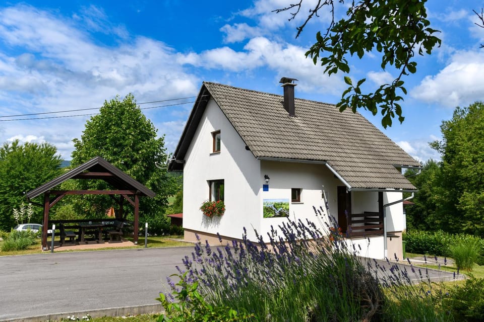 Property building, Day, Garden