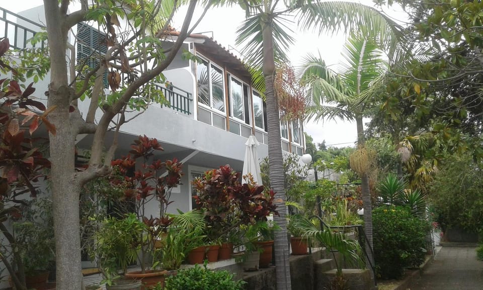 Property building, Garden view