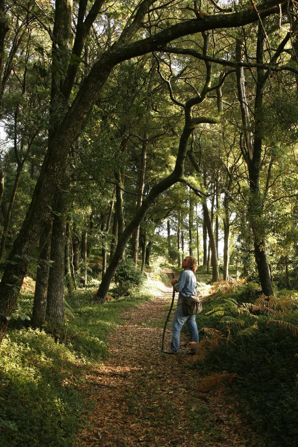 Natural landscape, Garden, Other