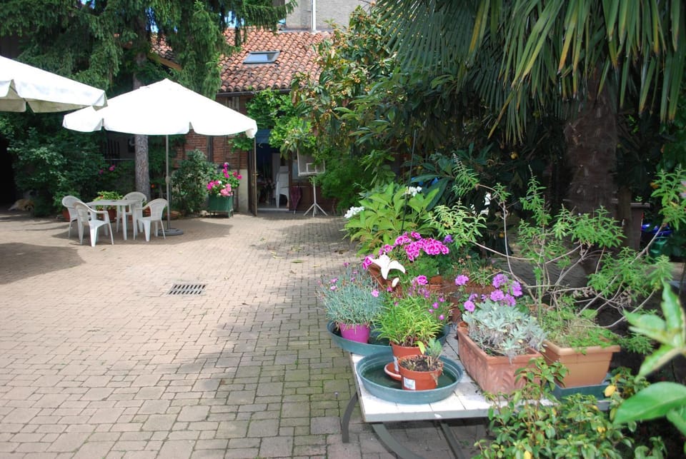 Day, Garden
