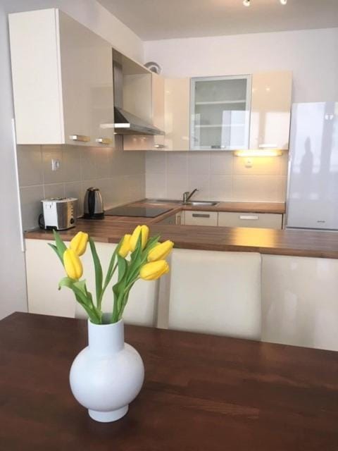 Sunshine Apartment Apartment in Makarska