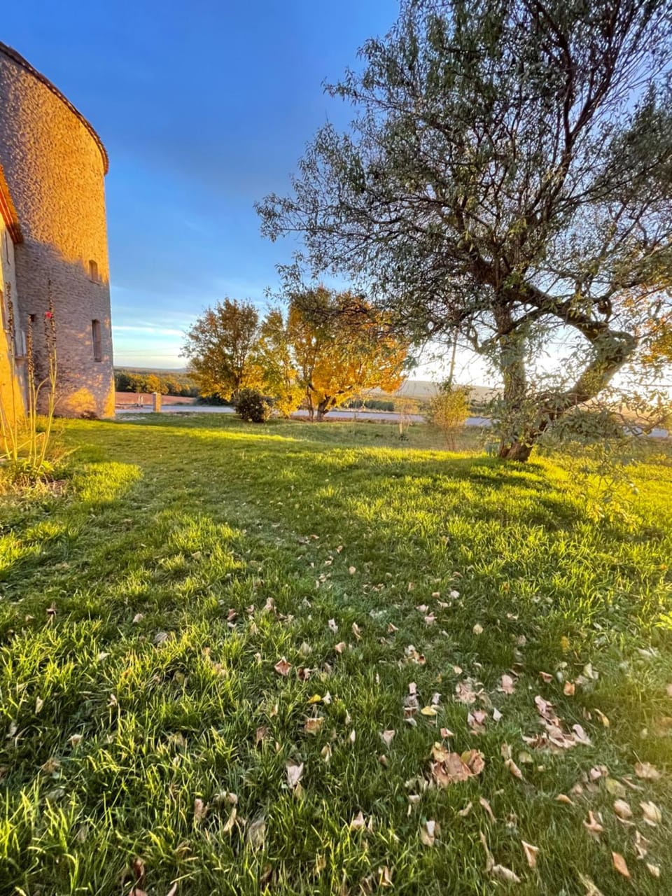 Garden, Garden view