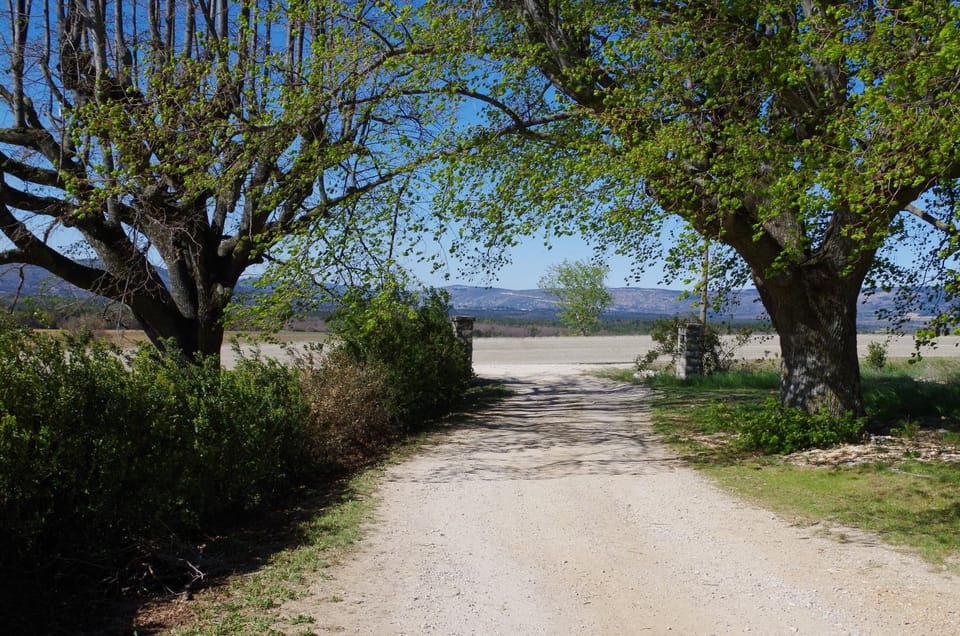 Natural landscape, Garden