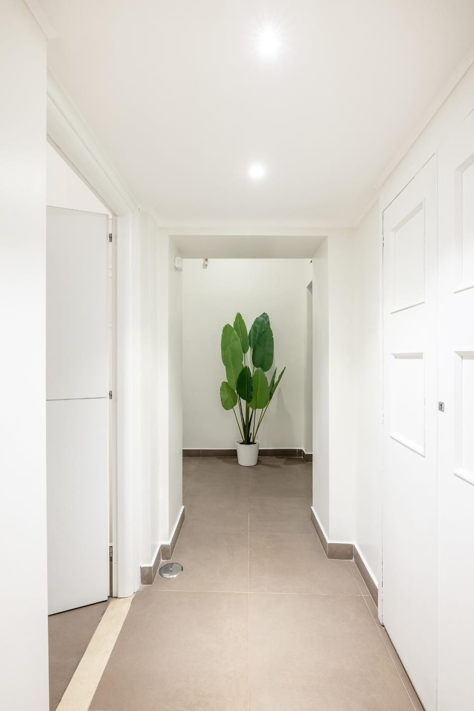 Maison Trevi Bed and Breakfast in Rome