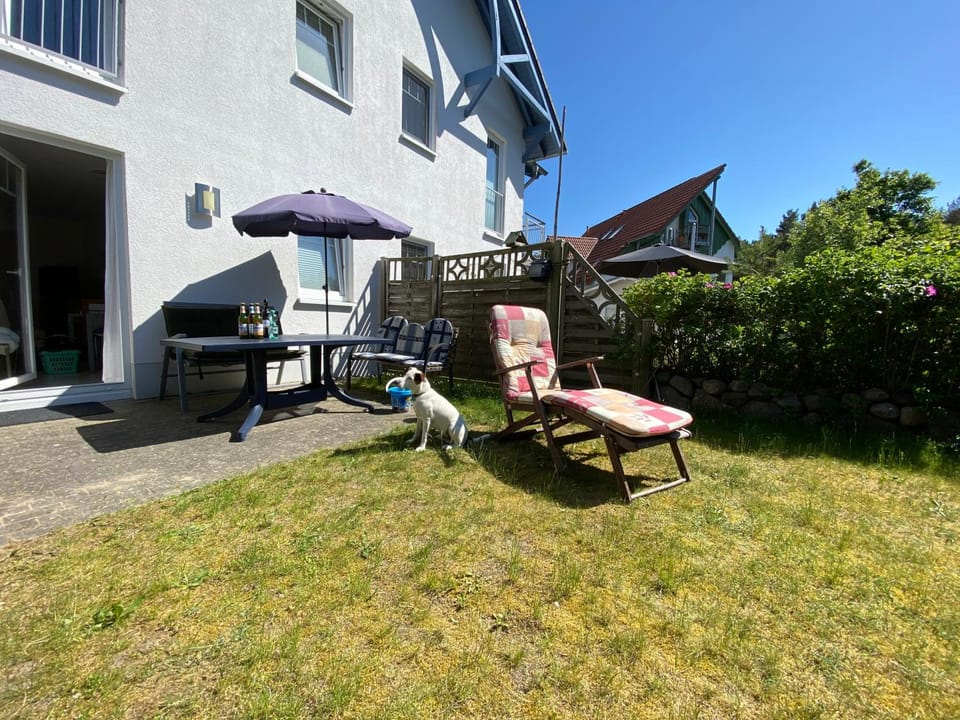 Garden, Balcony/Terrace