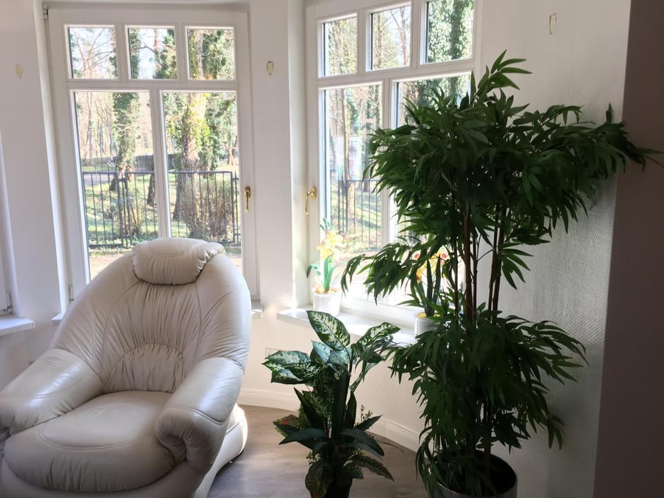 Living room, Seating area, Garden view