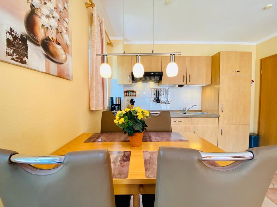 Kitchen or kitchenette, Dining area, stove