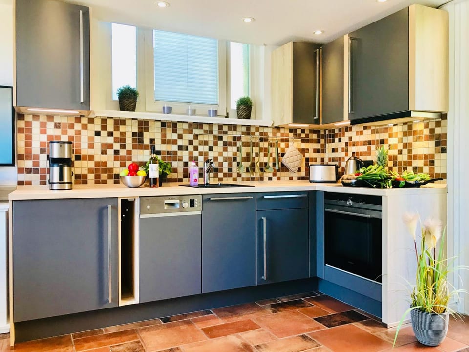 Kitchen or kitchenette, dishwasher, oven, stove