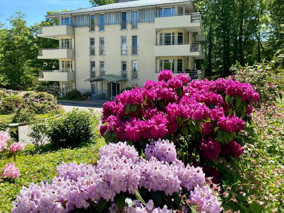 Property building, Spring, Day, Garden