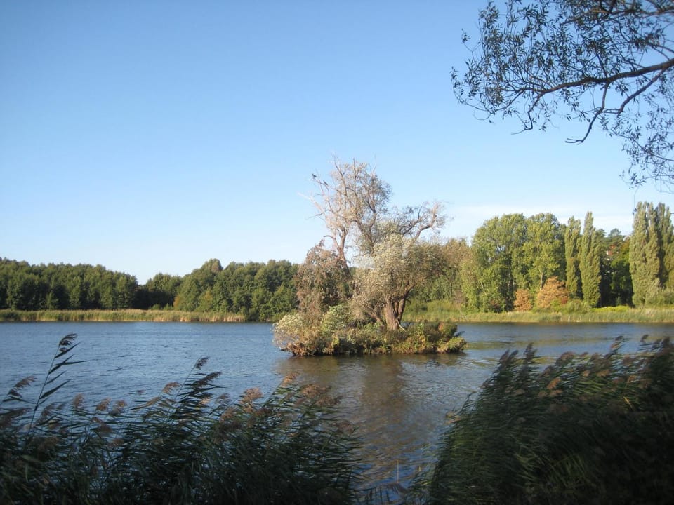 Natural landscape
