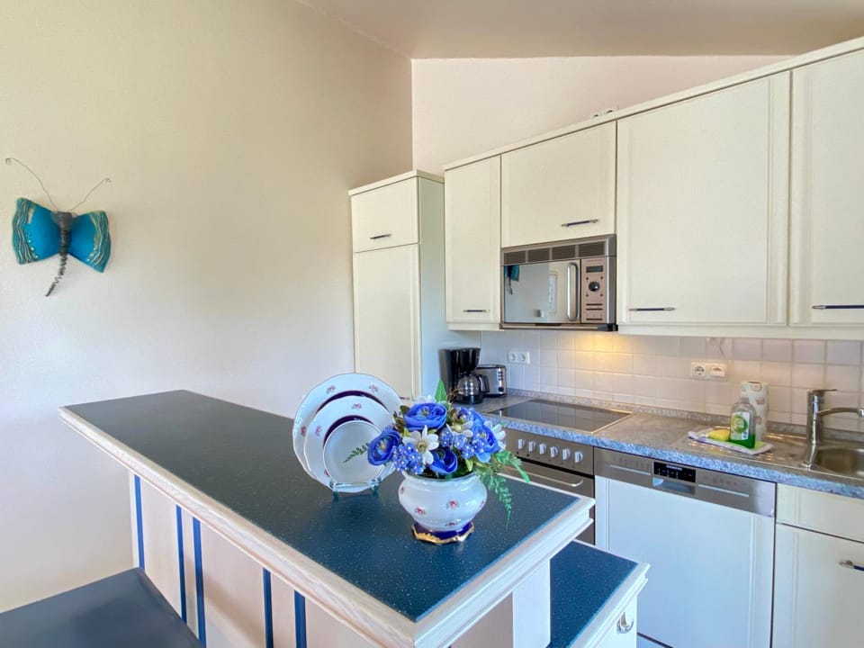 Kitchen or kitchenette, stove, kitchen
