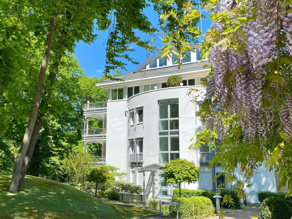 Property building, Spring