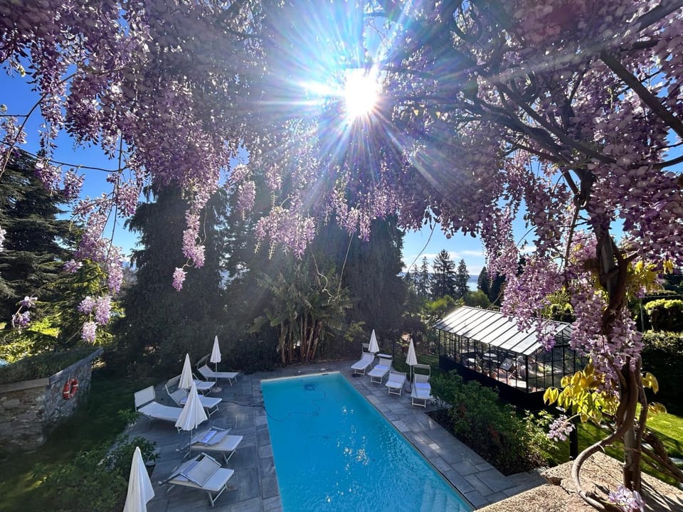 Day, Garden, Solarium, Garden view, Swimming pool