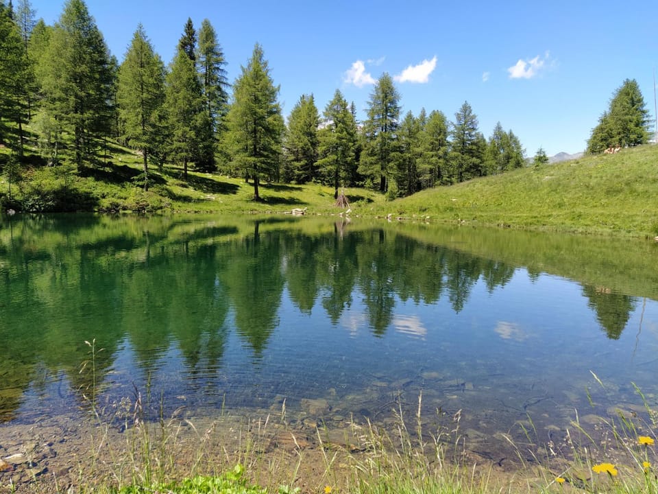 Natural landscape