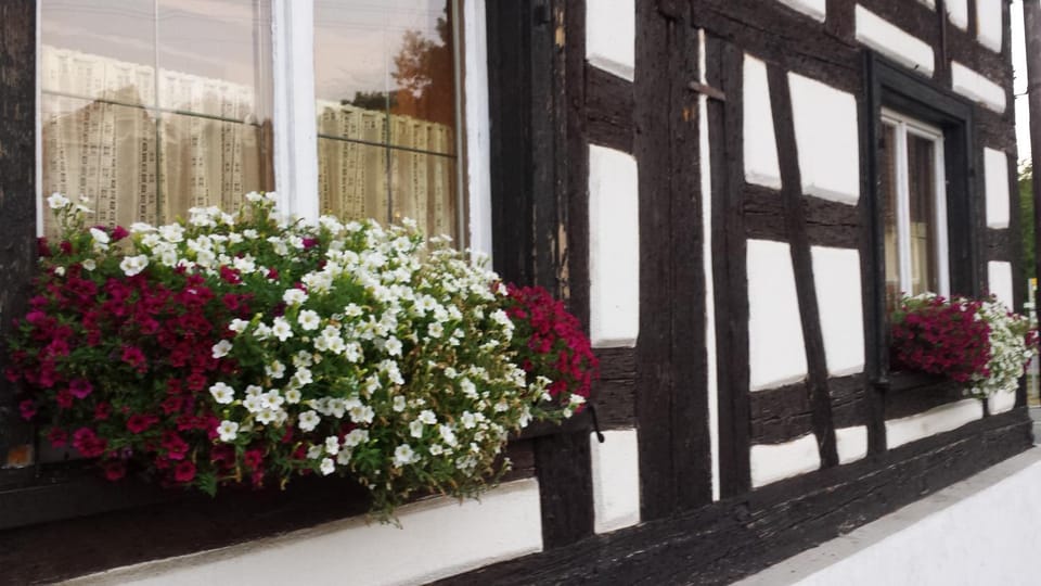 Property building, Summer