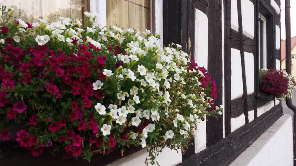 Facade/entrance, Summer