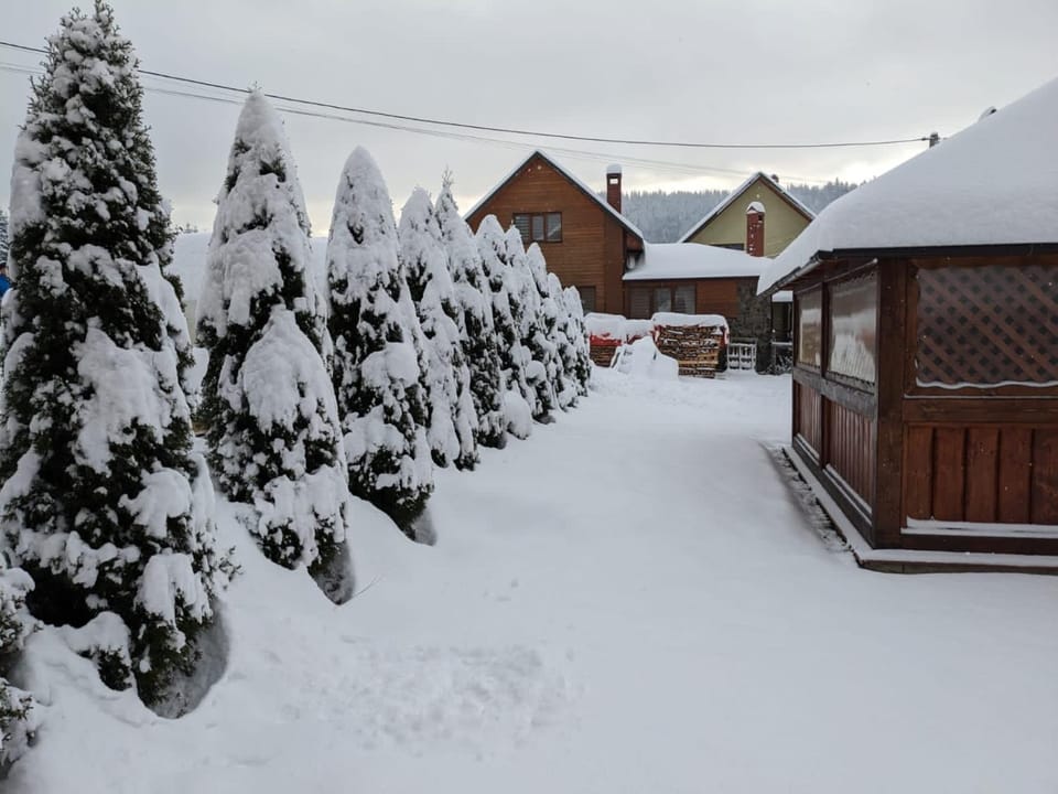 Winter, On site, Area and facilities
