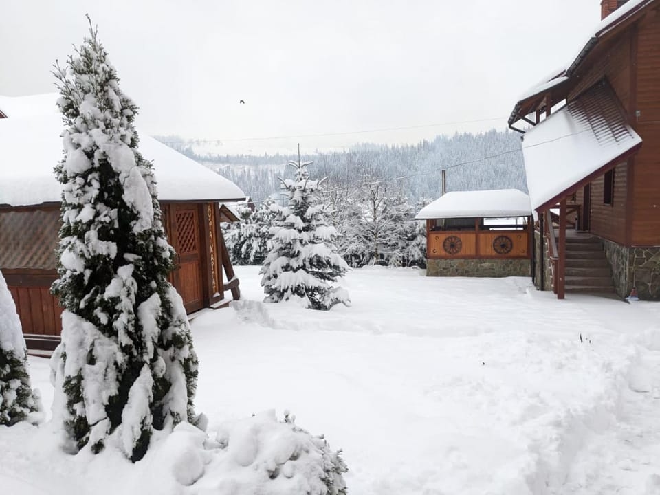 Winter, Mountain view, Area and facilities