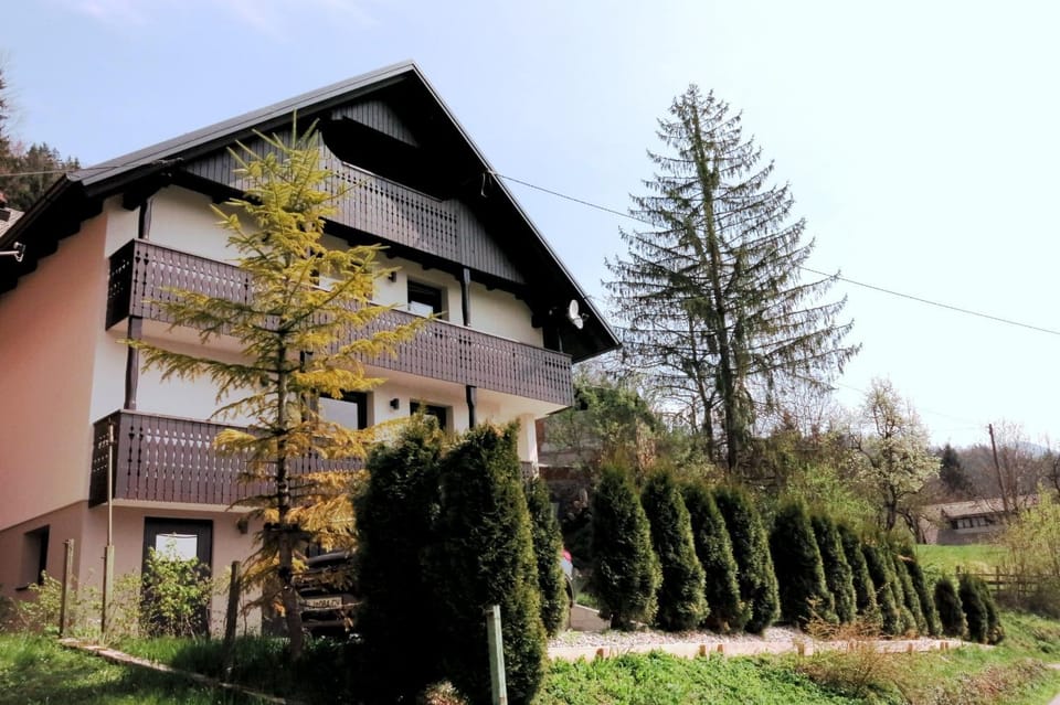 Property building, Garden, Garden view