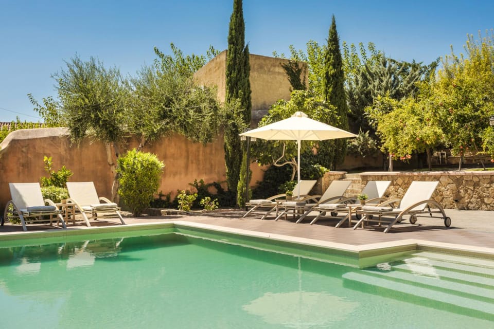 Patio, Day, Garden, Swimming pool, sunbed