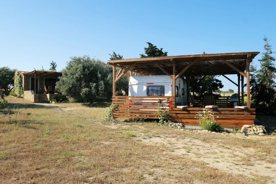 Property building, Neighbourhood, Garden