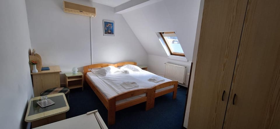 Vila Casa Alesiv Hotel in Cluj-Napoca