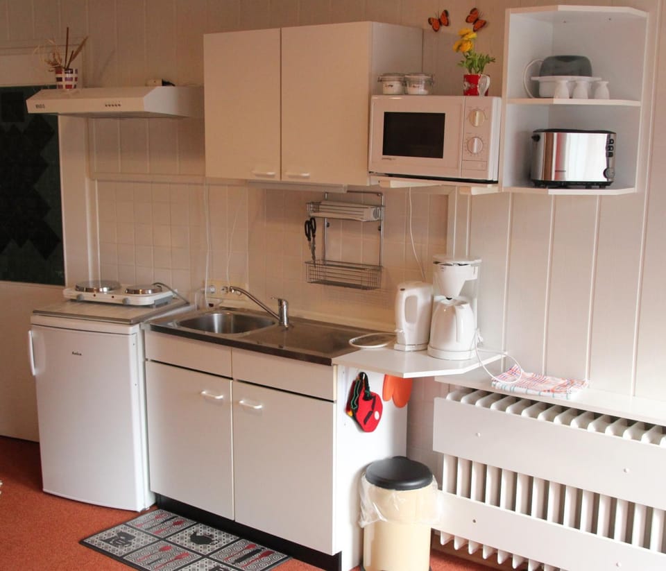 Day, Coffee/tea facilities, Kitchen or kitchenette, Photo of the whole room, Decorative detail