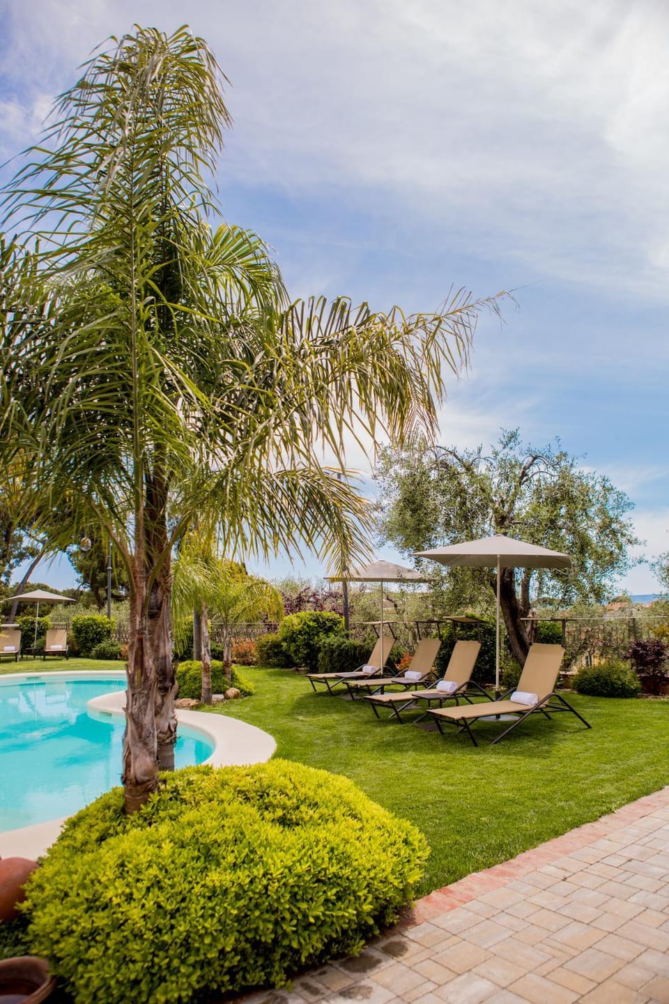 Garden, Pool view, Swimming pool