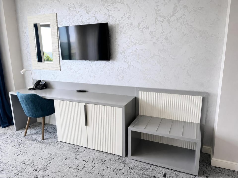 TV and multimedia