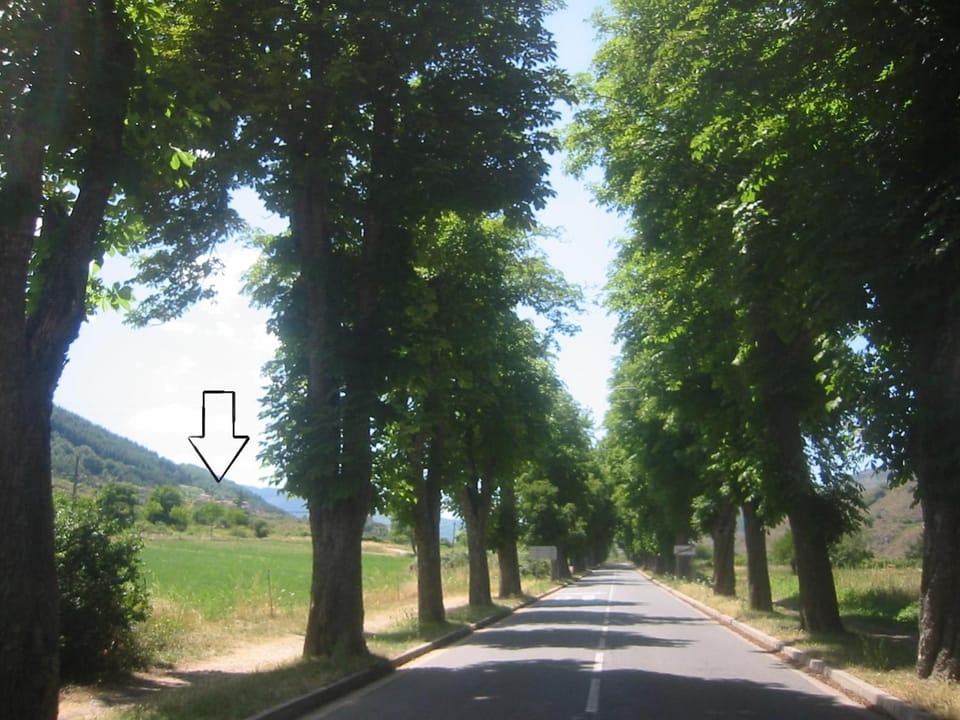 Off site, Day, Natural landscape, Summer
