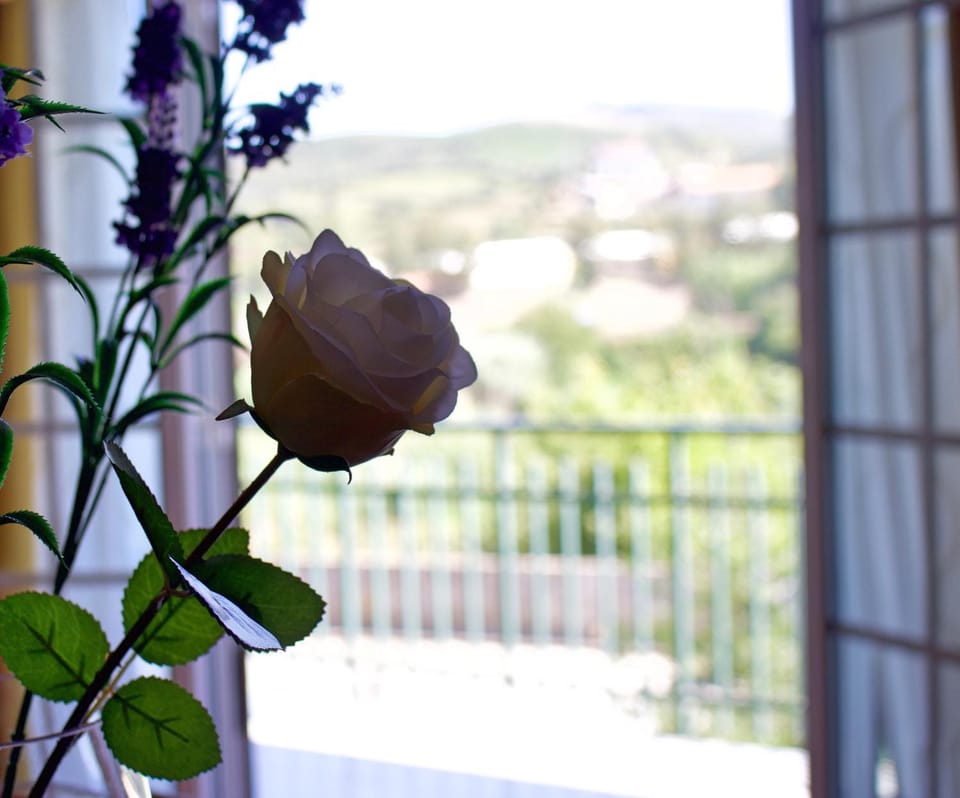 Communal lounge/ TV room, Decorative detail, City view, Mountain view