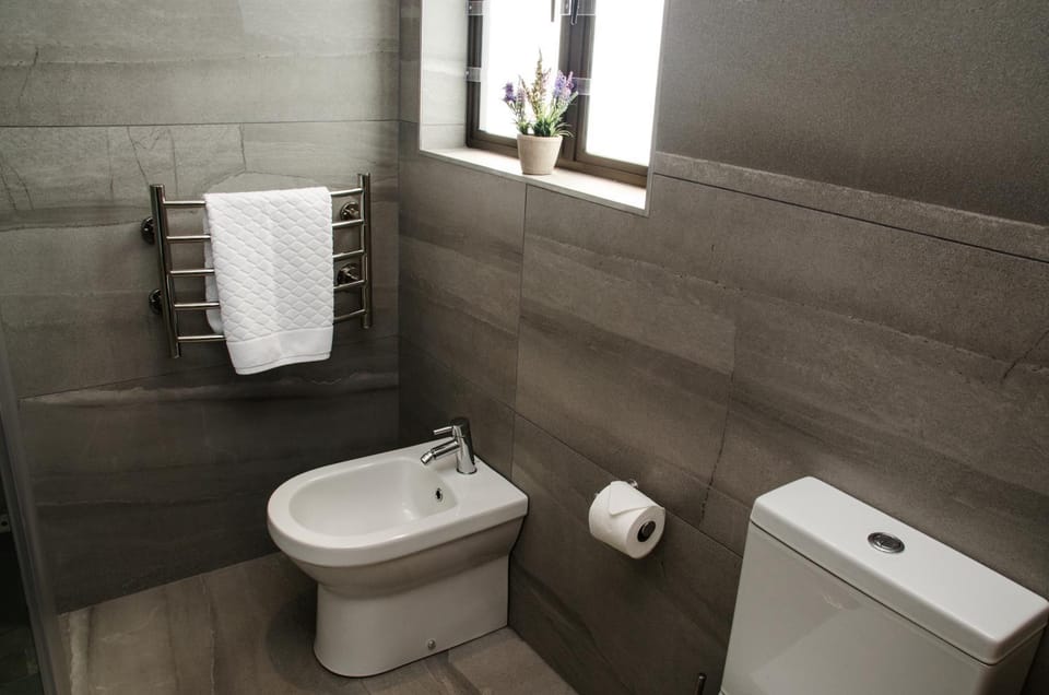 Toilet, bidet, towels